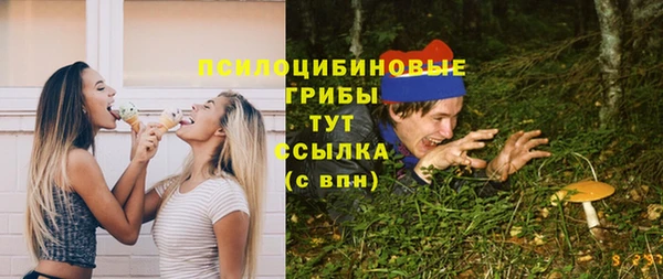 синтетический гашиш Алексин